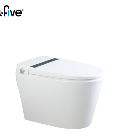 Bồn Cầu Két Âm Cao Cấp A5-891