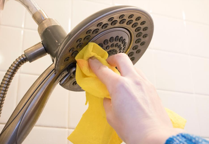 Mẹo vệ sinh sen vòi đúng cách
